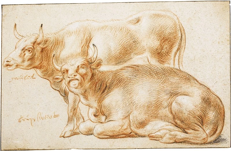 Disegno - Due mucche